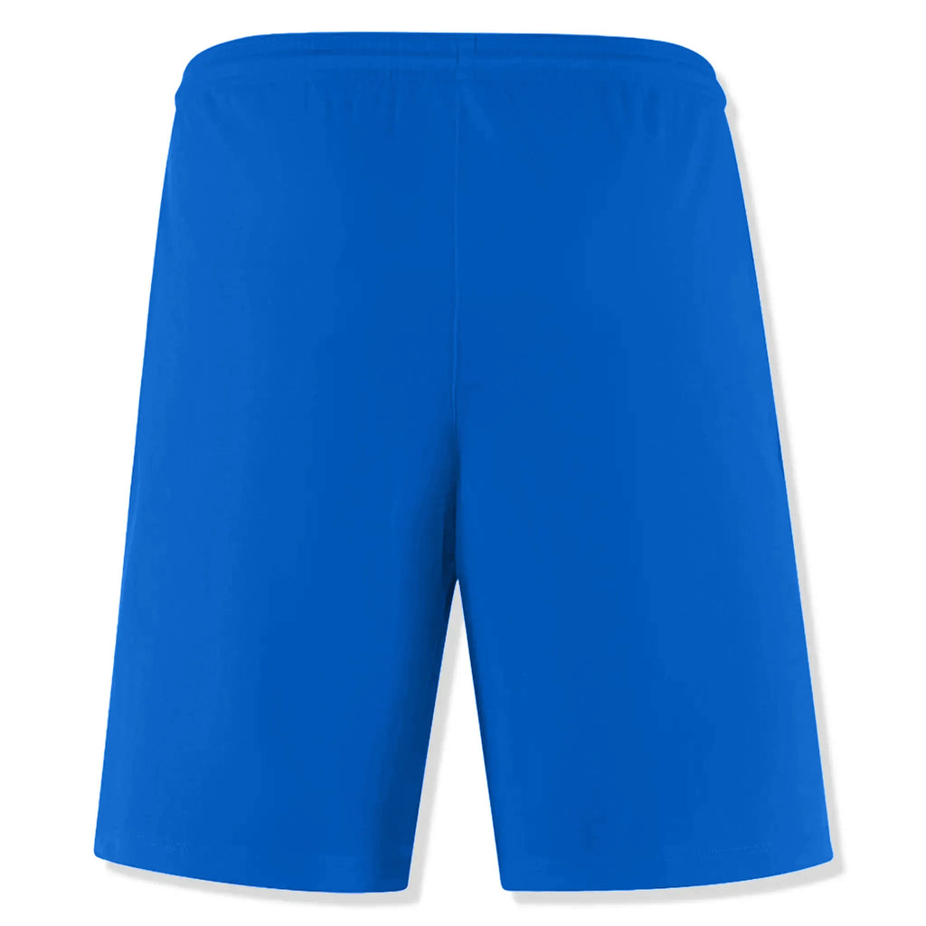 Nike Dri-FIT Park III Royal Blue White T-Shirt & Shorts