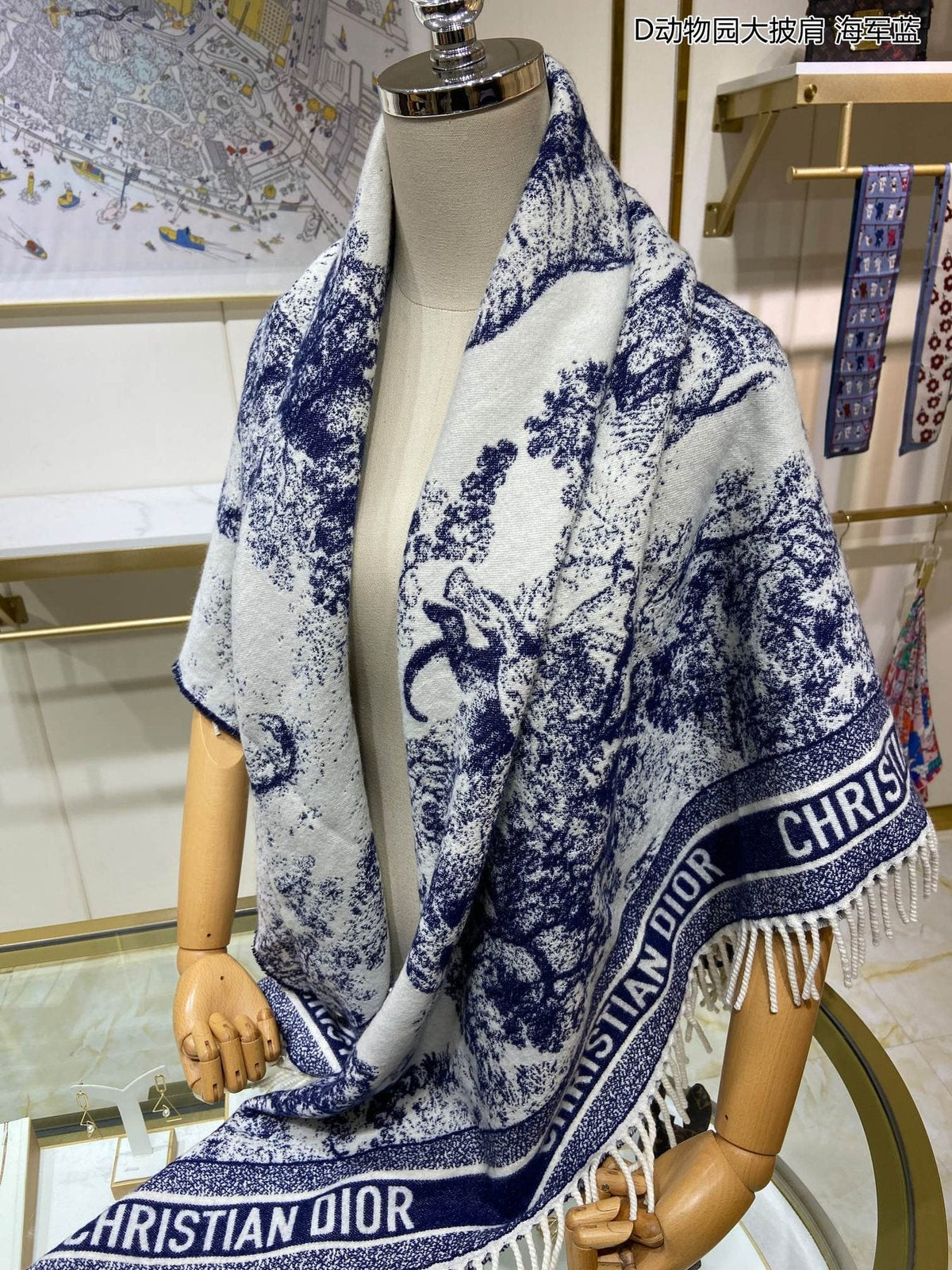 Dior Navy Toile Fringed Shawl — model