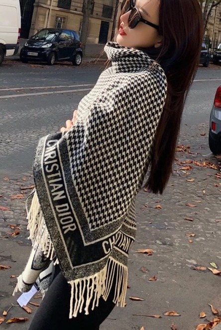 Dior Houndstooth Fringe Scarf — model