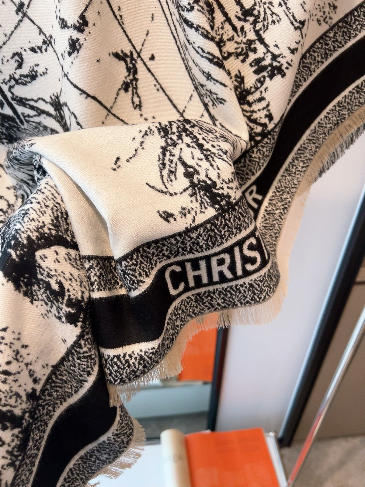 Dior Toile Print Fringed Shawl — detail