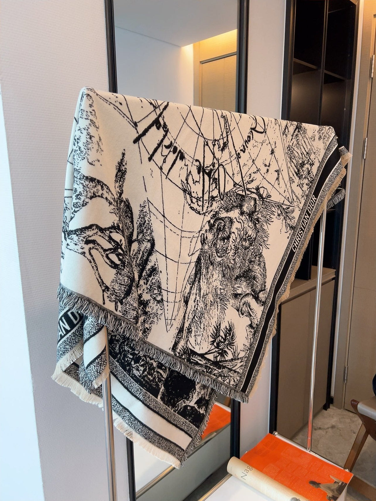 Dior Toile Print Fringed Shawl — front