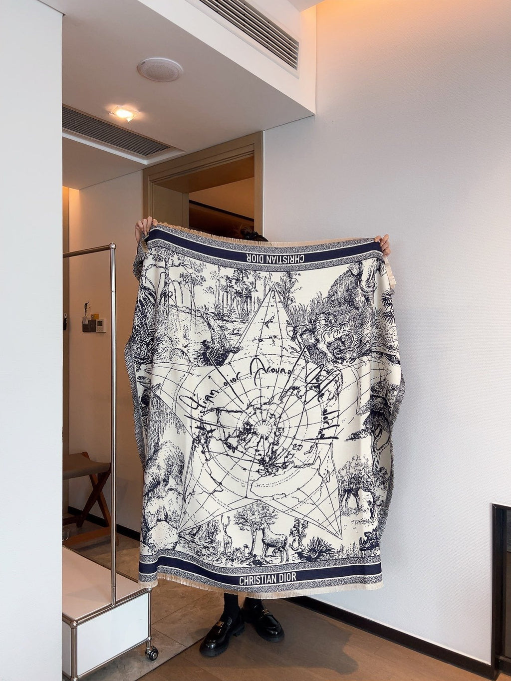 Dior Toile Print Fringed Shawl — front