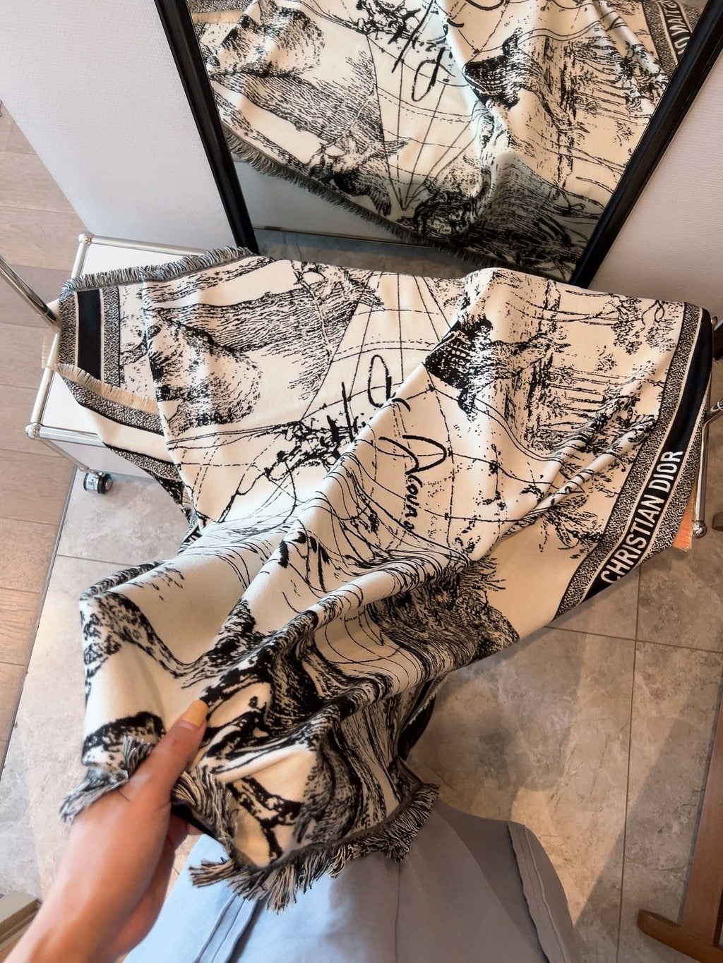 Dior Toile Print Fringed Shawl — model