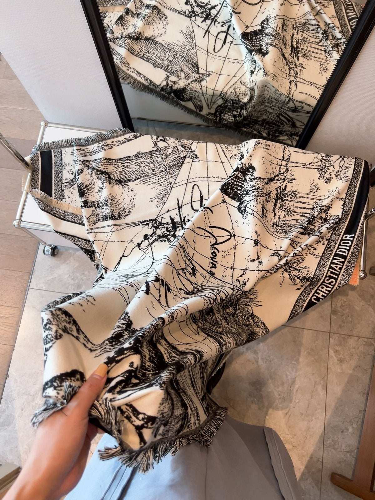Dior Toile Print Fringed Shawl — model